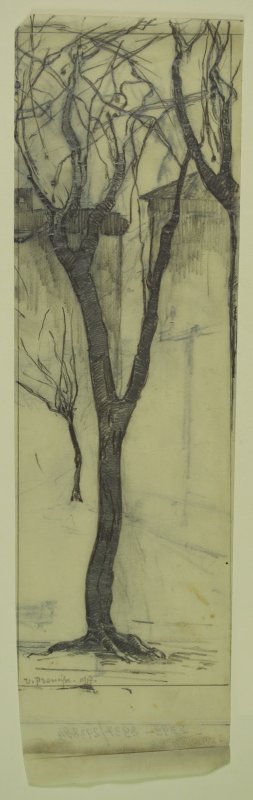 1917 - Piazza Napoleone (lucido per albero al centro)